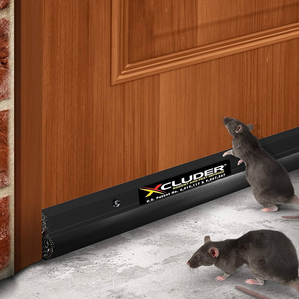 Rats & Rodents control